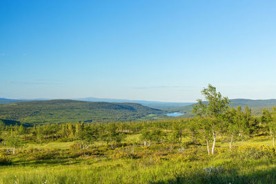 Scenic view of landscape against blue sky