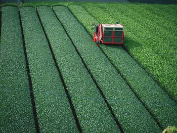 High angle view of agricultural machinery on tea field