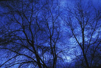 Low angle view of bare trees against clear sky