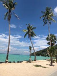 Palm trees on beach against sky