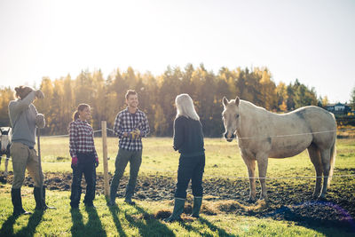 Multi-ethnic male and female farmers talking by horse at organic farm