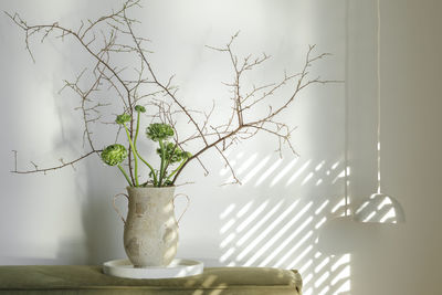 Potted plant on table