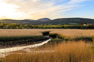 Scenic view of farm against sky