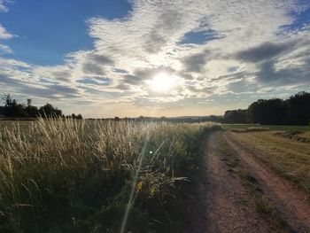 Scenic view of field against sky during sunset