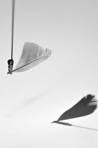 Low angle view of tree against sky