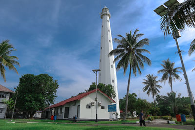 Low angle view of palm trees and houses against sky