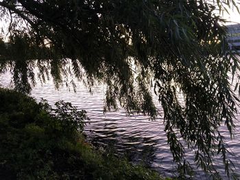 Scenic view of lake