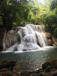 Scenic view of waterfall in forest