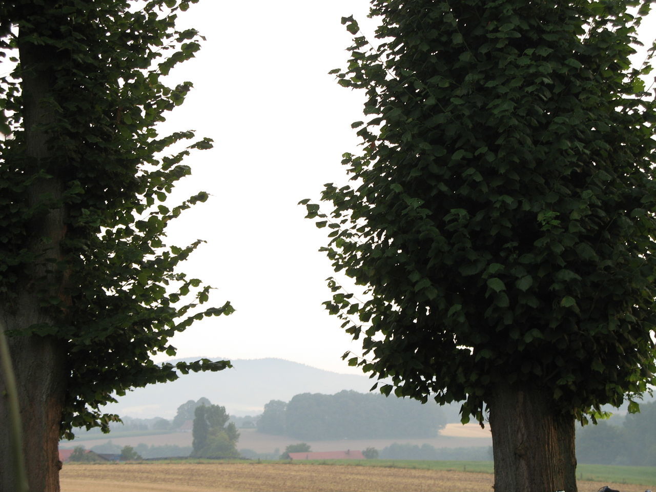 SCENIC VIEW OF RURAL LANDSCAPE