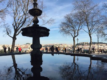 Reflection of trees in city against sky