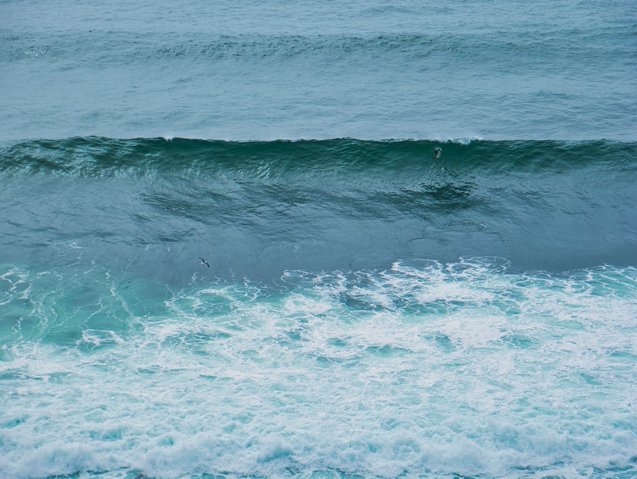 FULL FRAME SHOT OF SEA WATER