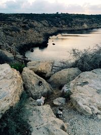 Rock formations in river