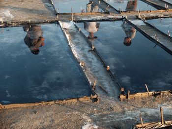 Reflection of trees in puddle