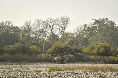 View of a field against the sky