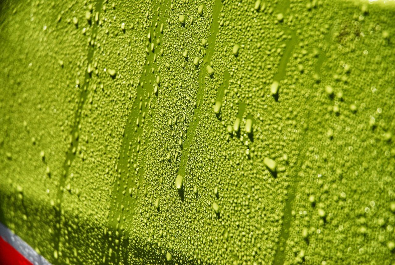 full frame, green color, backgrounds, close-up, indoors, drop, freshness, wet, textured, detail, pattern, glass - material, water, transparent, no people, green, food and drink, window, liquid, refreshment