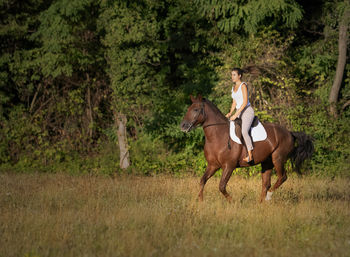 Horses riding horse on field