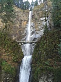 Scenic view of waterfall