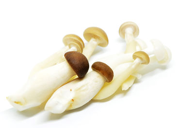 High angle view of bananas on white background