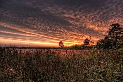 Scenic view of field against cloudy sky