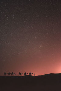 Silhouette camel train on desert against sky at night