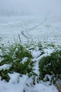 Scenic view of snow covered field