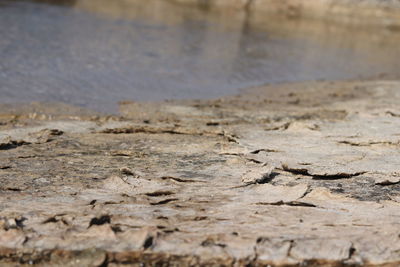 Close-up of water drops on dry land