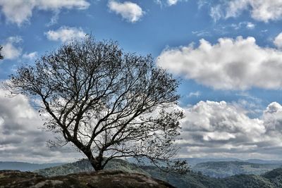 Low angle view of bare tree against cloudy sky