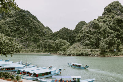 Scenic view of river by trees against sky