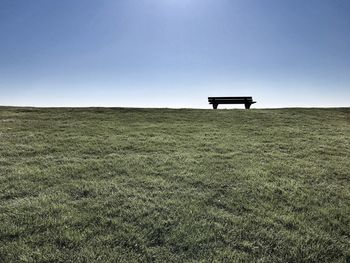 Scenic view of field against clear sky