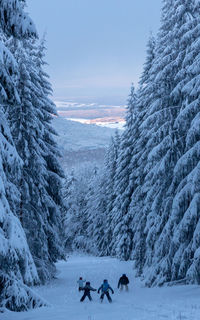 Rear view of friends skiing amidst trees on mountain