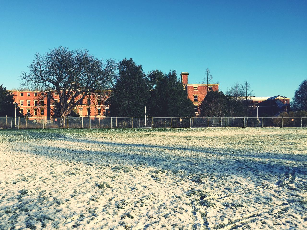 clear sky, building exterior, architecture, built structure, tree, field, blue, copy space, house, bare tree, grass, landscape, sky, day, outdoors, fence, no people, rural scene, nature, residential structure