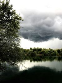 Reflection of trees in lake against sky