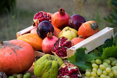 Close-up of apples in container