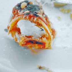 High angle view of ice cream in plate