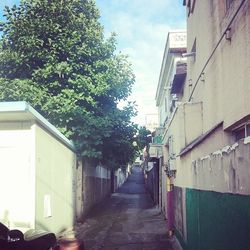 Narrow alley along buildings
