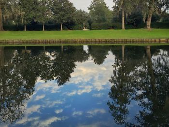 Reflection of trees in pond