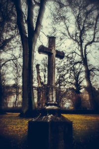 Bare trees on grassy field