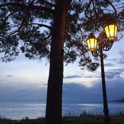 Silhouette of trees against sky at dusk