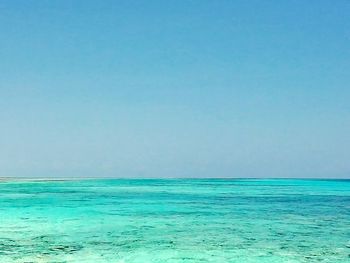 Scenic view of sea against clear blue sky