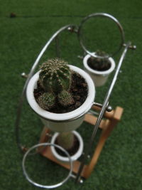 High angle view of potted plant on table