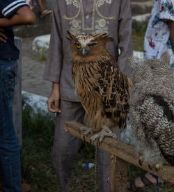 Low section of person against birds