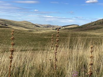 Scenic view of land against sky