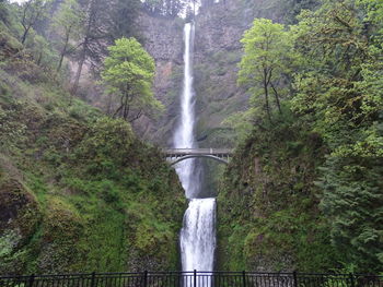 View of waterfall in forest