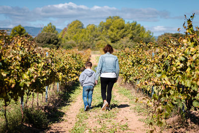 Mother and son taking a walk through a vineyards