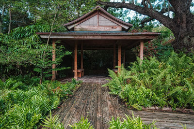 Wooden structure amidst trees and plants in forest