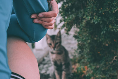 Midsection of person holding cat