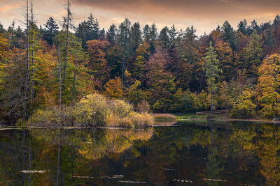 Trees by lake in forest against sky during autumn