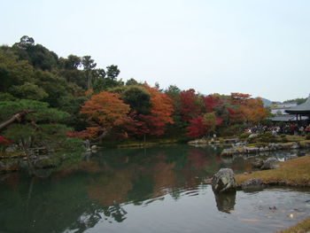 Reflection of trees in lake