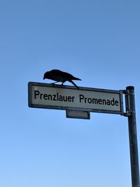 Low angle view of road sign against clear blue sky