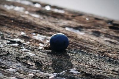 High angle view of fruit on wood